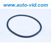 17284181, Fiat/Alfa/Lancia, Уплотнительное кольцо термостата Ducato RUS, (250), Iveco Daily 3 2.3