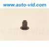 500395378, Fiat/Alfa/Lancia, Сальник клапана Ducato 2.3 Rus (250) 06-